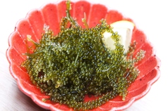 沖縄産海ぶどう