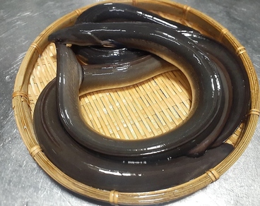 うなぎ うな桜のおすすめ料理1