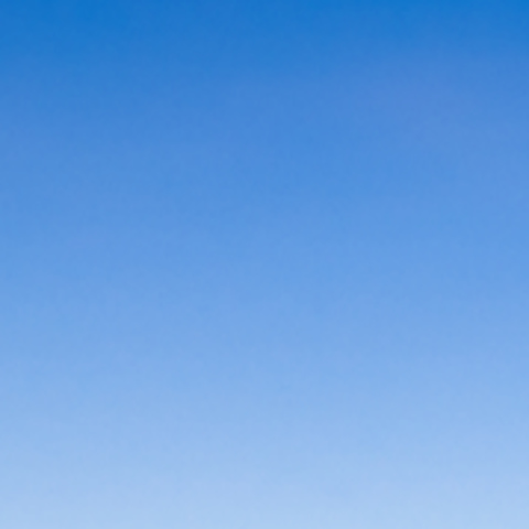 揚げたての香りに誘われる、天ぷら酒場。夜まで楽しめるパフェで甘い締め時間を。