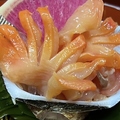 料理メニュー写真&nbsp;【刺身】活赤貝刺し