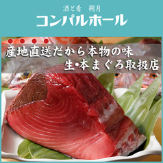 産地直送の生まぐろを堪能 新橋で鮮魚を楽しむ