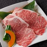 【霜降り大和牛】