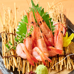 甘海老刺し