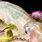 博多 うまいもんのおすすめ料理3