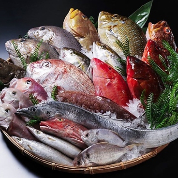 月島酒食家 ありがたいのおすすめ料理1