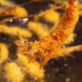 串かつ料理 えそらのおすすめ料理2