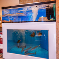 生け簀完備の店内！鮮度にこだわった自慢の海鮮料理♪