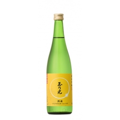 玉乃光 純米吟醸 酒魂