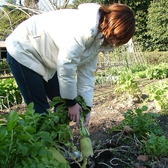 自慢の野菜は家の畑で採れる安心な美味しさ♪