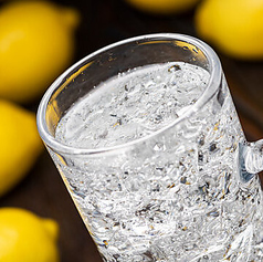 プレーンサワー