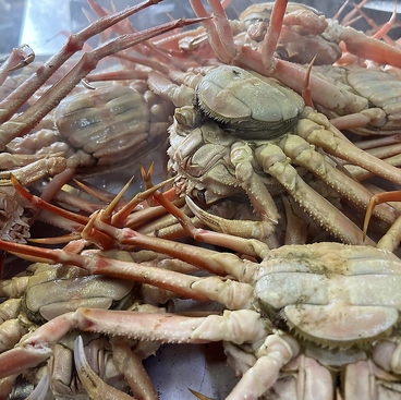 ノワ ド ココのおすすめ料理1