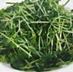 豆苗の炒め