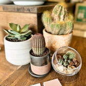 【癒しの空間】店内・店外には多種多様な可愛いサボンテン達。太陽の国・メキシコを感じながら、プチ旅行気分でゆっくりご飲食をお楽しみ頂けます!