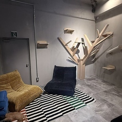 Future Pets Cat Cafe のコース写真