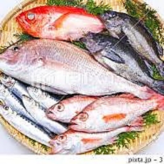 スマイリ商店ハナレ自慢の鮮魚をご賞味ください♪