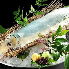 限定品 活いかの踊り造り