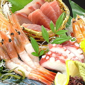 アラカルトも四季折々の食材を使った料理長こだわりのお料理をお楽しみいただけます◎