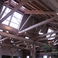 ノコギリ屋根の内側。天井が高く、開放的な空間となっております。
