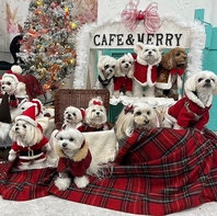 ワンちゃんと一緒に記念日や特別な日を楽しめる空間