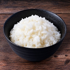 ライス/Rice