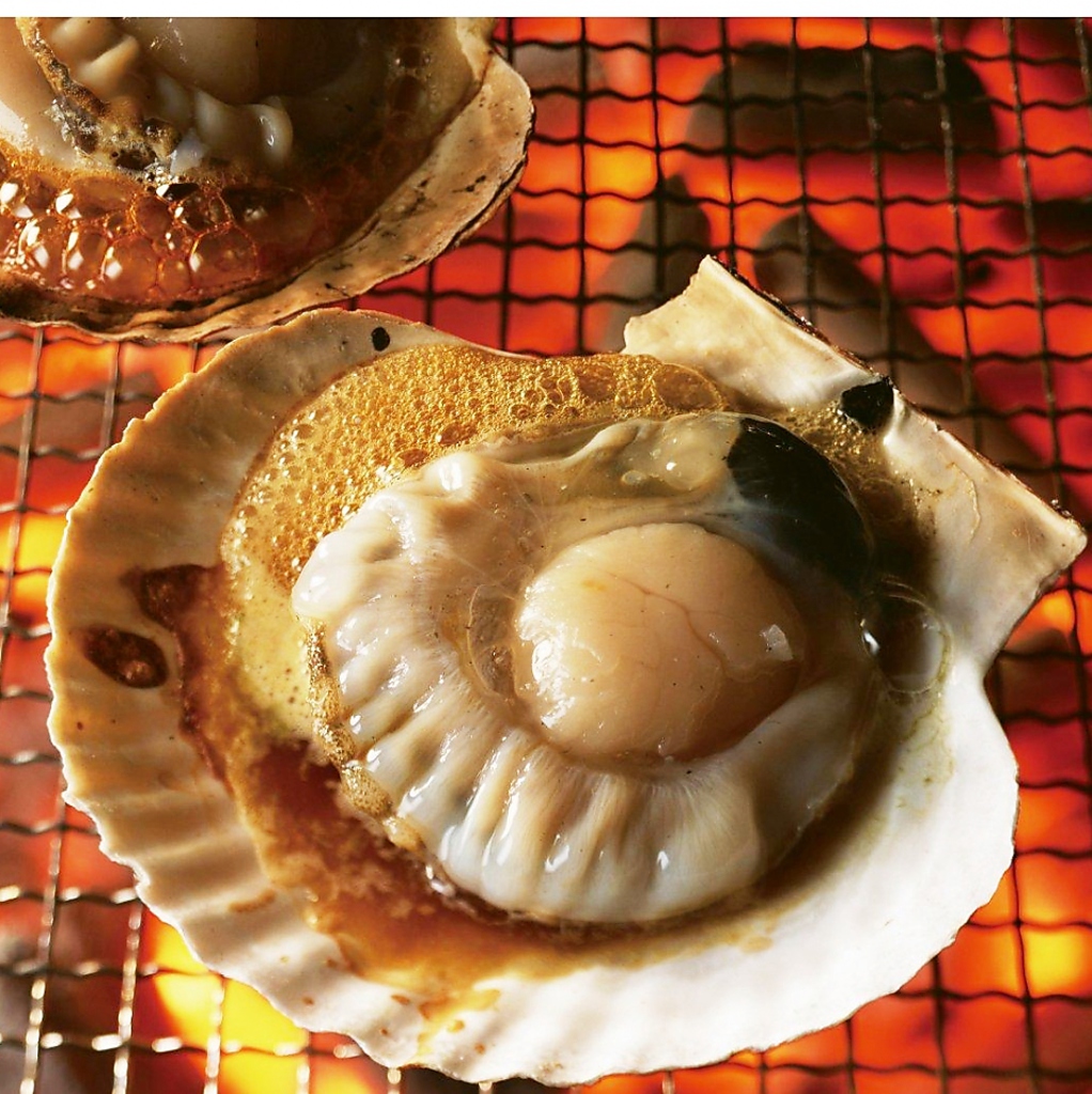 さざえやアワビも楽しめる♪今日はとことん飲み明かそう！