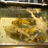 博多 うまいもんの雰囲気2