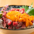 肉とさかなと日本酒 照 TERU 梅田店のロゴ