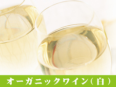 オーガニックワイン (赤・白)
