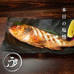 本日の塩焼き 時価