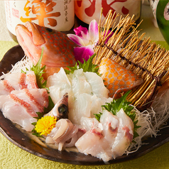 深海魚の豪華盛り合わせ