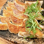 しそ餃子！エビ餃子/ 青唐餃子/ 鉄板チーズ餃子/ カレー餃子 /水餃子 / 白湯餃子/ せいろ蒸し餃子