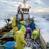 日本各地の地魚や築地海鮮をご賞味ください。