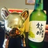 韓国料理 金の豚 きんのぶたのロゴ
