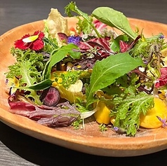 農家直送野菜のガーデンサラダ