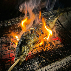 居酒屋 金太郎の特集写真