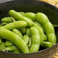 料理メニュー写真&nbsp;茹でたて枝豆