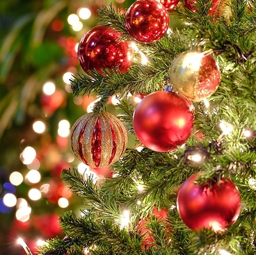 ItalianDining Aのおすすめ料理1