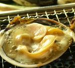 活気溢れる雰囲気と香ばしい魚介を炙る香りでついつい足が止まってしまう！