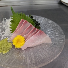 まぐろのお刺身/かんぱちのお刺身