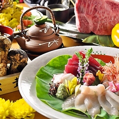 八王子 ゆうご特集写真1