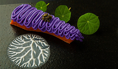 青山フレンチ AIX S エックスのコース写真