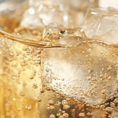 豊富な日本酒や各種ウイスキー等充実のドリンクをご用意