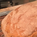 料理メニュー写真 自家製パン