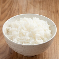 こしひかり ご飯（小）
