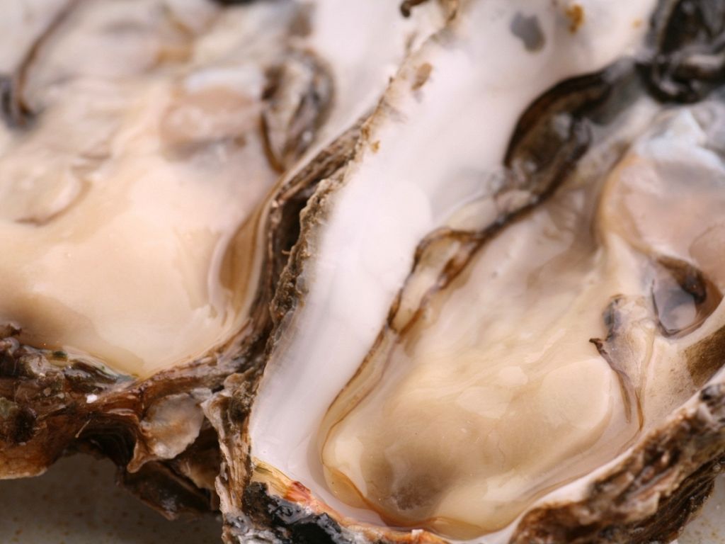 【厚岸直送　殻付き牡蠣】　新鮮さを確かめながら生でいくのもよし！豪快に炭焼きにするもよし！