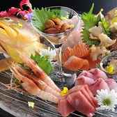 魚桜 咲 saki さきの写真
