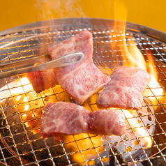 KOREAN BBQ yamabiko ヤマビコ 梅田店のおすすめポイント1