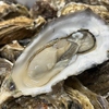 酒と魚と炉端焼き 海ごころ