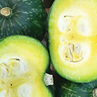 畑バーのラインナップは目を見張るほど