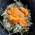 料理メニュー写真&nbsp;【名物！売切御免】北海道産うにの卵かけごはん
